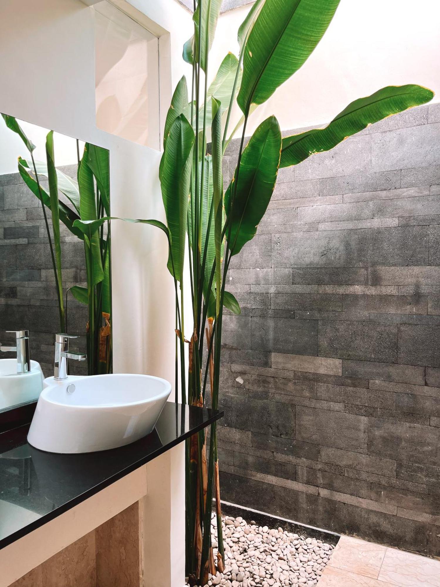 Aster Villa Seminyak Exteriör bild